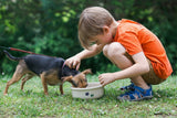 NEW! ROUND PRINTS SMALL COOL PET DISH SET by Emerson Creek Pottery Made in USA Set, Small Pet2734